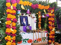 IMG (1)
